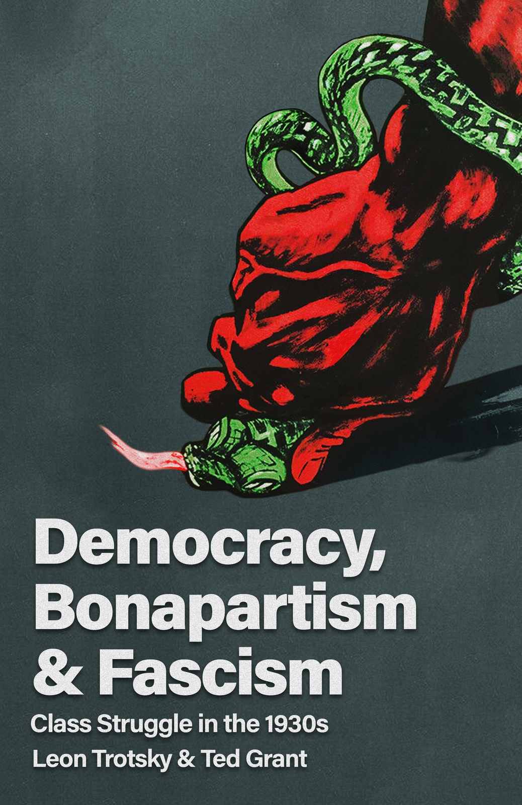 Cover of Democracy, Bonapartism and Fascism: Class Struggle in the 1930s