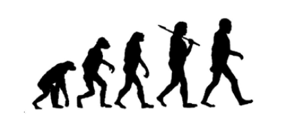 Evolution
